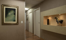 Amaral e Nicolau Advogados - Salas